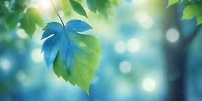 The primary subject of the image is a leaf, which is the main object, scene, or focus of the image. The leaf is green and blue, and it is placed against a blue background. The visual style of the image is a photo, and the colors and mood convey a sense of tranquility and natural beauty.