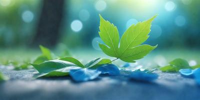 The primary subject of the image is a single green leaf, which is the main focus of the scene. The leaf is placed on a blue surface, which serves as the setting or background. The visual style of the image is a photo, capturing the leaf in its natural environment. The dominant colors in the image are green and blue, creating a calm and serene atmosphere.