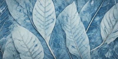 The primary subject of the image is a close-up of a blue leaf, which is part of a larger collection of blue leaves. The setting is a blue background, which creates a visually striking contrast with the blue leaves. The visual style is a close-up of the leaf, emphasizing its texture and details. The colors and mood of the image are predominantly blue, giving it a calm and serene atmosphere.