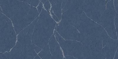 The primary subject of the image is a blue marble wall with a pattern of white veins. The setting is a room with a blue background. The visual style is a close-up of the marble wall, showcasing its unique texture and design. The colors and mood of the image are predominantly blue, creating a calm and serene atmosphere.
