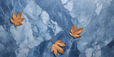 The primary subject of the image is a leaf, which is placed on a blue marble surface. The setting is a stone countertop, and the visual style is a close-up of the leaf. The colors in the image are predominantly blue and orange, creating a natural and earthy atmosphere.