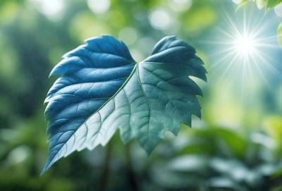 The primary subject of the image is a leaf, which is the main object, scene, or focus of the image. The leaf is green and blue in color, and it is set against a backdrop of a forest. The visual style of the image is a photo, capturing the leaf in its natural environment. The colors and mood of the image are vibrant and lively, with the green and blue hues creating a sense of freshness and vitality.
