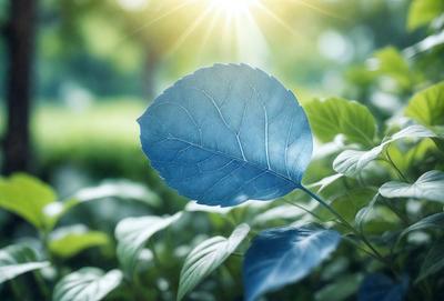 The primary subject of the image is a blue leaf, which is the main object, scene, or focus of the image. The setting/background consists of a lush green field, and the visual style is a photo. The dominant colors in the image are blue and green, creating a serene and natural atmosphere.