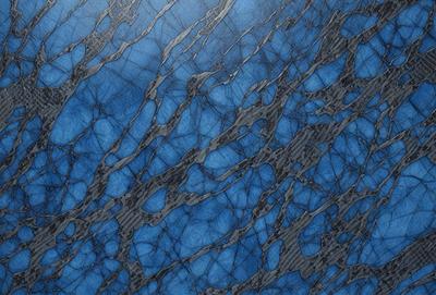 The primary subject of the image is a blue and black marbled wall. The setting is a room with a blue and black marbled wall as the main focus. The visual style is a close-up of the marbled wall, showcasing its intricate patterns. The colors and mood of the image are predominantly blue and black, creating a sense of depth and sophistication.