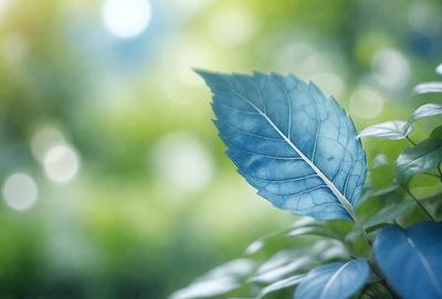 The primary subject of the image is a leaf, which is the main object, scene, or focus of the image. The leaf is blue and is situated in a green environment, which serves as the setting or background. The visual style of the image is a photo, capturing the leaf in its natural surroundings. The dominant colors in the image are green and blue, creating a calm and serene atmosphere.