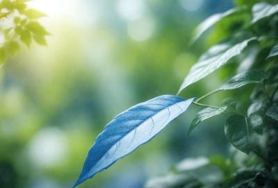 The primary subject of the image is a leaf, which is the main object, scene, or focus of the image. The leaf is blue and is situated in a green environment, which serves as the setting or background. The visual style of the image is a photo, capturing the leaf in its natural surroundings. The colors and mood of the image are predominantly green and blue, creating a serene and calming atmosphere.