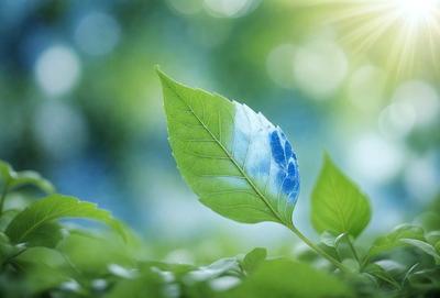 The primary subject of the image is a leaf with a blue design on it, which is growing in a lush green environment. The leaf is surrounded by a vibrant green background, which adds to the overall atmosphere of the image. The visual style of the image is a photo, capturing the natural beauty of the leaf and its surroundings. The colors and mood of the image are lively and serene, with the blue design on the leaf standing out against the rich green background.