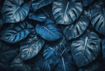 The primary subject of the image is a large group of blue leaves, which are the main objects in the scene. The leaves are arranged in a dense, overlapping pattern, creating a visually striking and vibrant display. The setting is a dark blue background, which contrasts with the bright blue leaves, adding depth and intensity to the image. The visual style is a close-up of the leaves, emphasizing their intricate details and textures. The colors and mood of the image are predominantly blue, with a