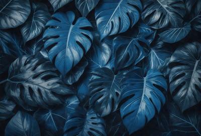 The primary subject of the image is a large group of blue leaves, which are the main objects in the scene. The leaves are arranged in a dense, overlapping pattern, creating a visually striking and vibrant display. The setting is a dark background, which contrasts with the bright blue leaves, emphasizing their color and texture. The visual style of the image is a close-up, black and white photograph of the leaves, which gives the image a classic and timeless appearance. The colors and mood of the image are