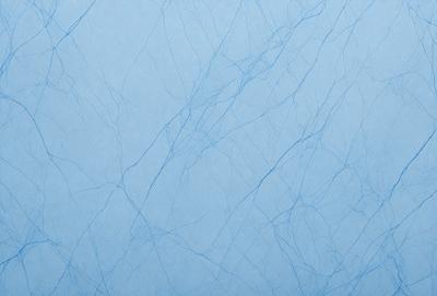The primary subject of the image is a blue wall with a pattern of white lines. The setting is a room with a blue background. The visual style is a close-up of the blue wall, showcasing the intricate pattern of the white lines. The colors and mood of the image are predominantly blue, creating a calm and serene atmosphere.