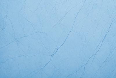 The primary subject of the image is a blue background with a white, textured surface. The setting appears to be a wall or a piece of paper with a blue tint. The visual style is a close-up of the blue and white surface, which gives the image a clean and minimalistic appearance. The colors and mood of the image are predominantly blue and white, creating a calm and serene atmosphere.