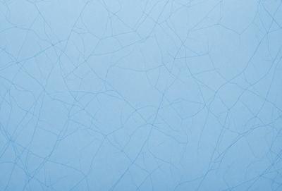 The primary subject of the image is a blue background with a pattern of white lines. The setting appears to be a wall or a piece of paper with the blue background. The visual style of the image is a close-up of the blue background, showcasing the white line pattern. The colors and mood of the image are predominantly blue and white, creating a calm and serene atmosphere.