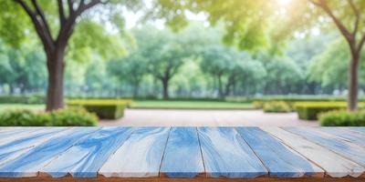 The primary subject of the image is a wooden bench with a blue and white checkered pattern. The bench is placed in a park setting, surrounded by trees and grass. The visual style of the image is a photo, capturing the natural environment and the bench's design. The colors and mood of the image are predominantly blue and white, creating a calm and serene atmosphere.