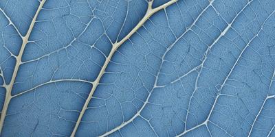 The primary subject of the image is a close-up of a leaf with a blue background. The leaf is the main focus of the image, and it appears to be a natural, textured surface. The visual style of the image is a close-up of the leaf, which gives it a detailed and realistic appearance. The colors in the image are predominantly blue, which creates a calm and serene atmosphere.