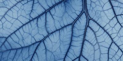 The primary subject of the image is a close-up of a blue leaf with a patterned texture. The setting is a blue background, which adds to the visual style. The image is a digital art piece, showcasing the intricate details of the leaf. The dominant colors are blue and white, creating a calm and serene atmosphere.