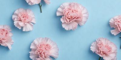 The primary subject of the image is a group of pink flowers. They are arranged on a blue background, creating a visually appealing contrast between the flowers and the color of the wall. The flowers are depicted in a digital art style, giving them a realistic and vibrant appearance. The overall atmosphere of the image is one of beauty and elegance, with the pink flowers serving as the focal point of the scene.
