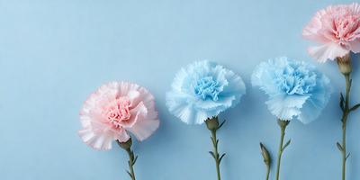 The primary subject of the image is a bouquet of three flowers, each with a different color. The flowers are placed on a blue background, which adds a sense of calmness and tranquility to the scene. The visual style of the image is a close-up of the flowers, showcasing their details and beauty. The colors of the flowers are pink, blue, and white, creating a harmonious and pleasing color palette. Overall, the image conveys a sense of serenity and natural beauty