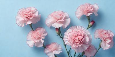The primary subject of the image is a bouquet of pink flowers. The flowers are arranged in a vase, and they are placed against a blue background. The visual style of the image is a photo, capturing the beauty of the flowers in their natural setting. The colors and mood of the image are predominantly pink, creating a warm and inviting atmosphere.