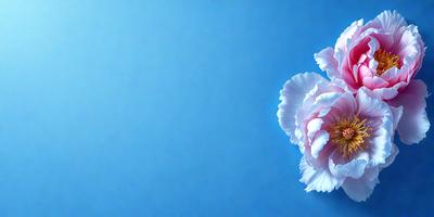 The primary subject of the image is a white flower with pink petals, which is prominently displayed against a blue background. The visual style of the image is a combination of photo and digital art, creating a realistic yet artistic representation of the flower. The colors and mood of the image are predominantly blue and white, giving it a calm and serene atmosphere.
