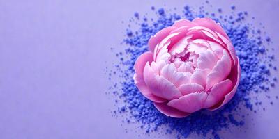 The primary subject of the image is a pink flower with white petals, which is placed on a purple background. The visual style of the image is a combination of photo and digital art, creating a unique and artistic representation of the flower. The colors and mood of the image are predominantly pink and purple, giving it a delicate and elegant appearance.
