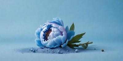 The primary subject of the image is a blue flower with a purple center, sitting on a blue surface. The setting appears to be a studio or a controlled environment, as the flower is placed on a blue background. The visual style of the image is a close-up of the flower, showcasing its details and colors. The dominant colors in the image are blue and purple, creating a calm and serene atmosphere.