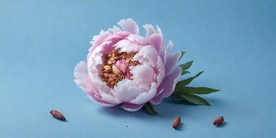 The primary subject of the image is a large, beautiful pink flower with a yellow center. The flower is sitting on a blue surface, which serves as the setting or background. The visual style of the image is a painting, which gives it a more artistic and detailed appearance. The dominant colors in the image are pink and blue, creating a serene and elegant atmosphere.