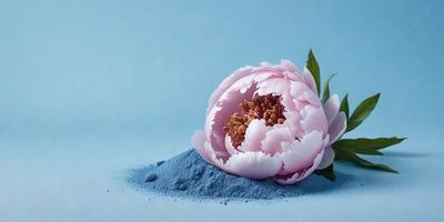 The primary subject of the image is a pink flower, which is the main object, scene, or focus of the image. The setting is a blue surface, which serves as the backdrop for the flower. The visual style of the image is a photo, capturing the beauty of the pink flower in its natural environment. The colors and mood of the image are predominantly pink, which gives the image a warm and inviting atmosphere.