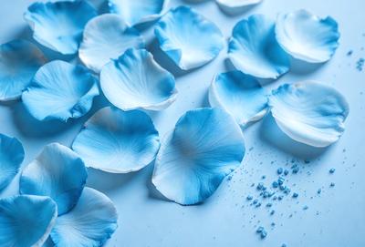 The primary subject of the image is a collection of blue flowers, which are scattered across a blue surface. The setting appears to be a table or a similar surface, providing a clean and uncluttered backdrop for the flowers. The visual style of the image is a close-up of the flowers, showcasing their intricate details and vibrant colors. The overall atmosphere of the image is serene and calming, with the blue flowers creating a sense of tranquility and beauty.