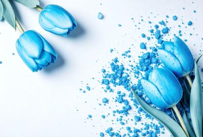 The primary subject of the image is a bouquet of blue flowers. The flowers are scattered across the scene, with some placed closer to the viewer and others further away. The setting is a white background, which provides a clean and minimalist appearance. The visual style is a close-up of the flowers, emphasizing their vibrant blue color. The overall atmosphere is serene and calming, with the blue flowers creating a sense of tranquility.