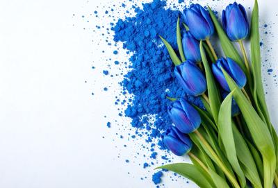 The primary subject of the image is a bouquet of blue tulips. The setting is a white background, which provides a clean and minimalist look. The visual style is a close-up of the flowers, showcasing their vibrant blue color. The overall atmosphere is serene and calming, as the blue tulips create a sense of tranquility and beauty.