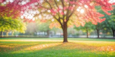 The primary subject of the image is a tree with a bright pink blossom. The tree is located in a park, surrounded by a grassy field. The visual style of the image is a photo, capturing the beauty of the tree and its blossom. The colors and mood of the image are vibrant and lively, with the pink blossom standing out against the green grass.