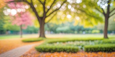 Primary subject: A tree with yellow leaves.

Setting/background: A park with a grassy area.

Visual style: A photo.

Colors and mood: The photo is in black and white, giving it a classic and timeless feel. The yellow leaves of the tree create a warm and inviting atmosphere.