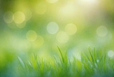 The image features a lush green field with bright sunlight shining through it. The field is filled with grass, creating a serene and peaceful atmosphere. The sunlight creates a warm and inviting ambiance, highlighting the vibrant green color of the grass. The visual style of the image is a natural, outdoor setting, with the primary subject being the grassy field.