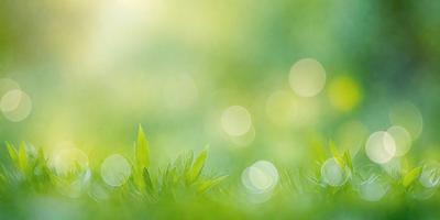 The primary subject of the image is a lush green field with grass and sunlight. The setting is a bright, sunny day, and the visual style is a painting or drawing. The colors are predominantly green, and the overall atmosphere is serene and peaceful.