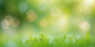 The image features a lush green field with a bright, sunny atmosphere. The primary subject is a close-up of the grass, which is the main focus of the image. The setting is an outdoor environment, with the sunlight creating a warm and inviting mood. The visual style is a natural, realistic representation of the grass, and the colors are predominantly green, which adds to the serene and peaceful ambiance of the scene.