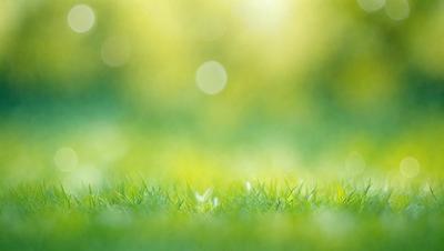 The image features a lush green field with a bright, sunny atmosphere. The primary subject is the grass, which is the main focus of the image. The setting is an outdoor environment, with the grassy field as the background. The visual style is a photo, capturing the natural beauty of the grassy field. The colors and mood are predominantly green, with a warm and inviting ambiance.