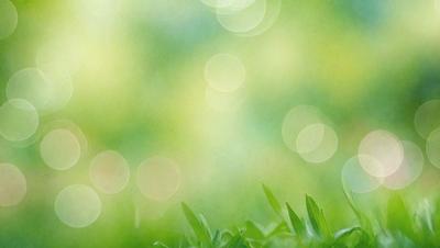 The image features a lush green field with a bright, sunny atmosphere. The primary subject is a close-up of the grass, which is the main focus of the image. The setting is a natural environment, with the grass being the primary background. The visual style is a photo, capturing the vibrant colors and details of the grass. The colors and mood of the image are predominantly green, with a warm and inviting ambiance.