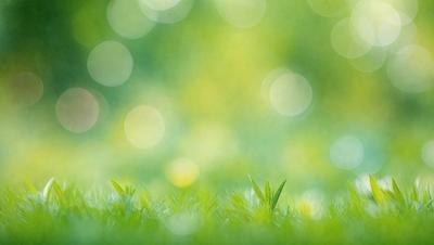 The image features a lush green field with a bright, sunny atmosphere. The primary subject is a small, green plant growing in the grass. The setting is a vibrant, natural environment with a backdrop of a bright, sunny day. The visual style is a photo of the plant in its natural habitat. The colors and mood are predominantly green, with a sense of freshness and vitality.