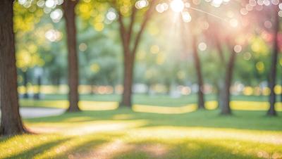 Primary subject: A park with a grassy field and trees.

Setting/background: The park is surrounded by trees, providing a natural and serene environment.

Visual style: The image is a photo of the park.

Colors and mood: The park is filled with green grass and trees, creating a calm and peaceful atmosphere.