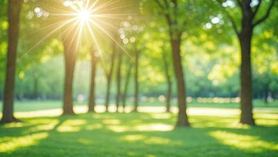 The primary subject of the image is a lush green park with a sunny day. The setting is a grassy field surrounded by trees, creating a serene and peaceful atmosphere. The visual style is a photo, capturing the natural beauty of the park. The colors and mood are predominantly green, with the sunlight creating a warm and inviting ambiance.