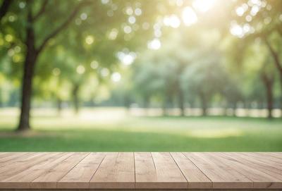 The primary subject of the image is a wooden bench situated in a grassy field. The setting is a park with trees in the background, creating a serene and natural atmosphere. The visual style is a photo, capturing the outdoor scene with the bench as the focal point. The colors and mood are predominantly green, with the grass and trees providing a sense of tranquility and relaxation.