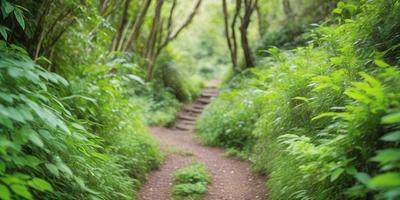 The primary subject of the image is a dirt path surrounded by lush greenery. The path is located in a forest, with trees and bushes lining the sides. The setting is a natural environment, with the path leading through the woods. The visual style of the image is a photo, capturing the beauty of the forest and the path. The colors and mood of the image are predominantly green, with the lush vegetation creating a serene and peaceful atmosphere.