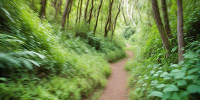 The primary subject of the image is a dirt path surrounded by lush green trees and bushes. The setting is a forest, with the path leading through the trees. The visual style is a photo, capturing the natural environment and the path's presence. The colors and mood are predominantly green, with the lush vegetation creating a serene and peaceful atmosphere.