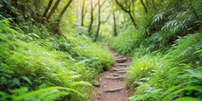 The primary subject of the image is a dirt path surrounded by lush green trees and foliage. The setting is a forest, with the path leading through the trees. The visual style is a photo, capturing the natural environment. The colors and mood are dominated by the vibrant green of the trees and the natural earth tones of the dirt path.