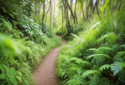 The primary subject of the image is a dirt trail surrounded by lush green foliage. The trail is winding through the forest, creating a serene and natural atmosphere. The setting is a forest with trees and plants, providing a sense of tranquility and connection to nature. The visual style of the image is a close-up of the trail, emphasizing its winding path through the forest. The colors and mood of the image are predominantly green, with the lush foliage creating a sense of fresh