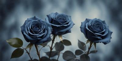 The primary subject of the image is a bouquet of three blue roses. The setting is a dark background, which creates a dramatic and moody atmosphere. The visual style is a close-up of the flowers, showcasing their details and beauty. The colors and mood of the image are predominantly dark and mysterious, with the blue roses standing out as the focal point.