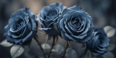 The primary subject of the image is a bouquet of blue roses. The setting is a dark, possibly gloomy, environment. The visual style is a close-up of the blue roses, showcasing their beauty. The colors and mood of the image are predominantly dark and moody, with the blue roses being the main focal point.
