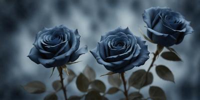 The primary subject of the image is a bouquet of three blue roses. The setting is a dark, blue background, which creates a moody and dramatic atmosphere. The visual style is a photo, capturing the beauty of the roses in their natural environment. The colors and mood of the image are predominantly dark and mysterious, with the blue roses standing out as the focal point.