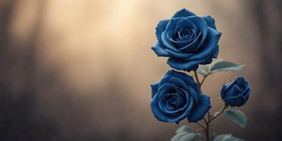 The primary subject of the image is a bouquet of two blue roses. The setting is a sunny day, with the roses placed in front of a sunlit background. The visual style is a close-up of the flowers, showcasing their beauty. The colors and mood of the image are predominantly blue, creating a serene and calming atmosphere.
