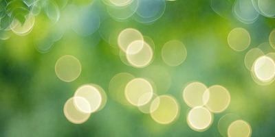 The primary subject of the image is a close-up of a green leaf, which is the main object in the scene. The leaf is surrounded by a bright, colorful background of green and yellow lights, creating a vibrant and lively atmosphere. The visual style of the image is a combination of a photo and digital art, as it captures the natural beauty of the leaf while also incorporating the colorful lights. The colors and mood of the image are predominantly green and yellow, with a sense of freshness and
